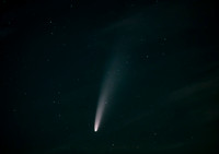 Comète C/2020 F3 Neowise - juillet 2020