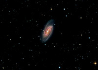 NGC 2903.