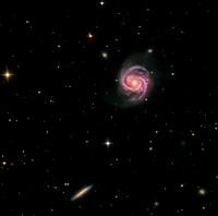 M 100  (NGC 4321)